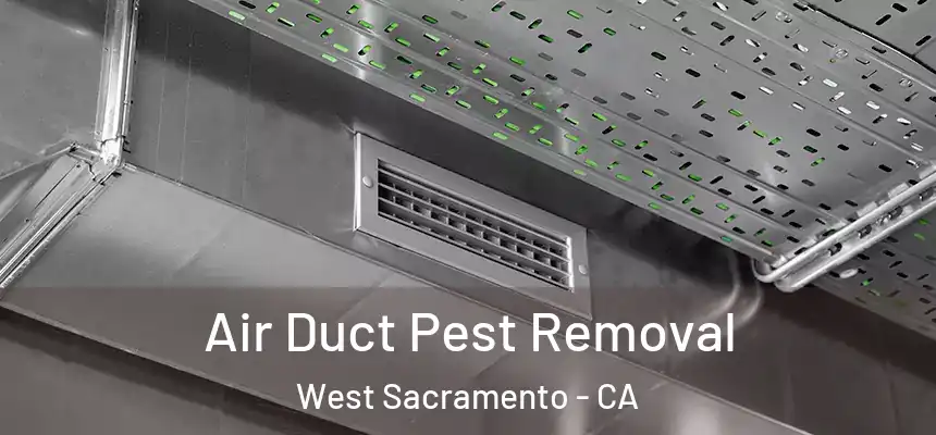  Air Duct Pest Removal West Sacramento - CA