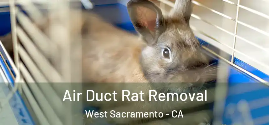  Air Duct Rat Removal West Sacramento - CA