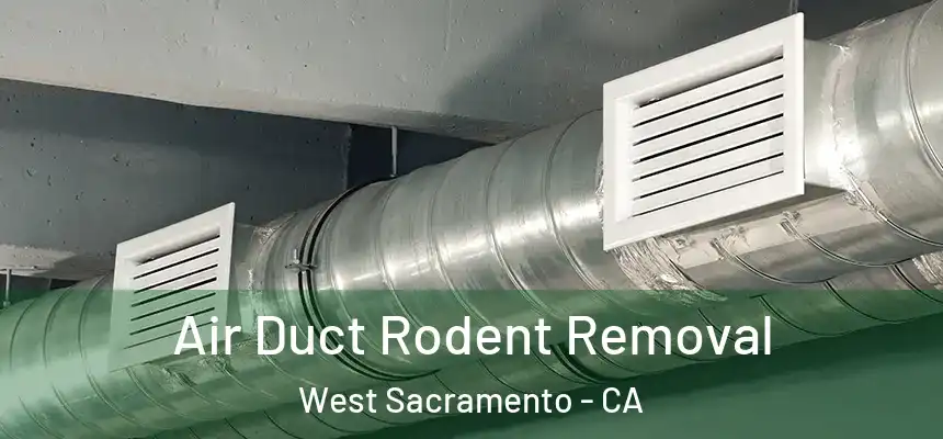  Air Duct Rodent Removal West Sacramento - CA
