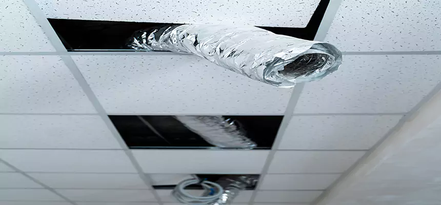 Affordable HVAC Sanitizing After Pest Removal in West Sacramento