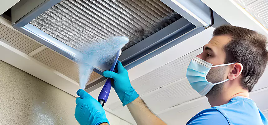 Proactive Dryer Vent & Auxiliary Duct Pollen Cleanup in West Sacramento, CA