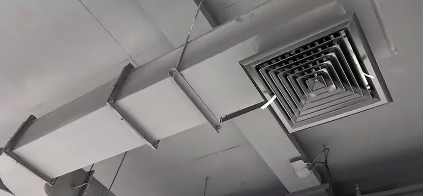 Restorative Allergy Relief Vent Cleaning – Coil, Blower & Housing Detail in West Sacramento