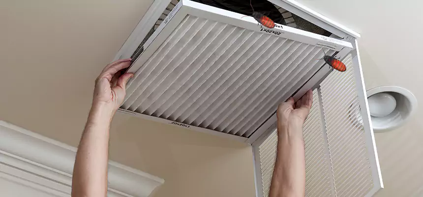 Our Insect Removal from Air Ducts Services in West Sacramento, CA