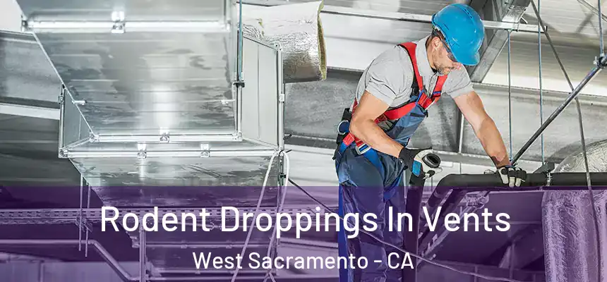  Rodent Droppings In Vents West Sacramento - CA