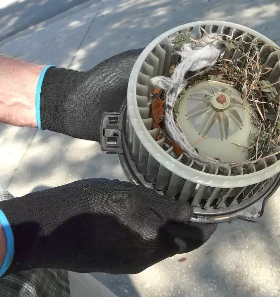 About Air Duct Rat Removal in West Sacramento, CA