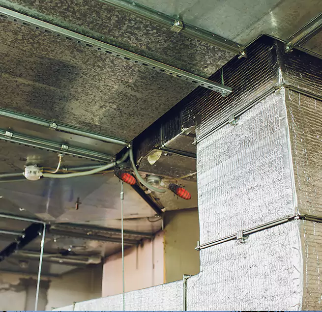 Why Homeowners & Businesses Trust Us in West Sacramento, CA?