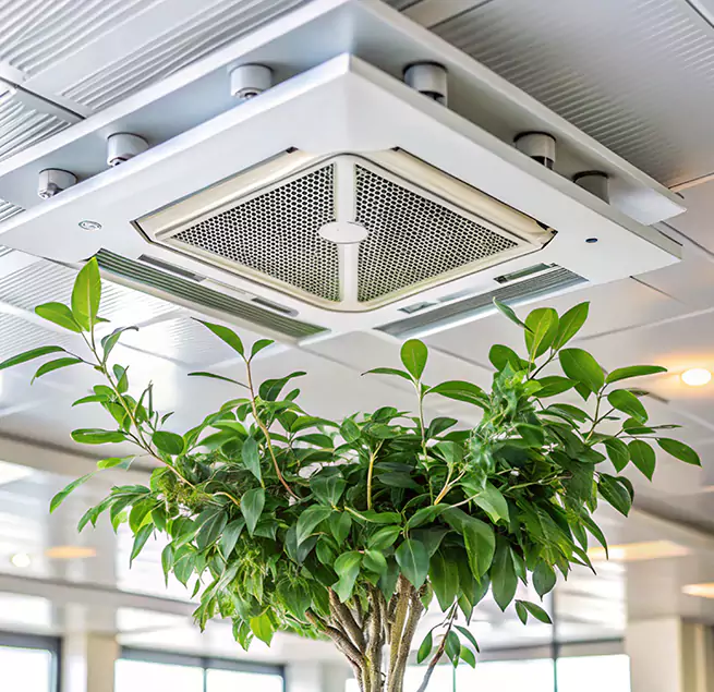 Why Homeowners & Businesses Trust Us in West Sacramento, CA?